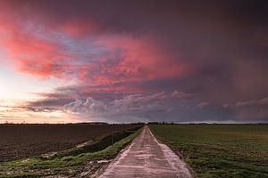 Endless road van P Kuipers