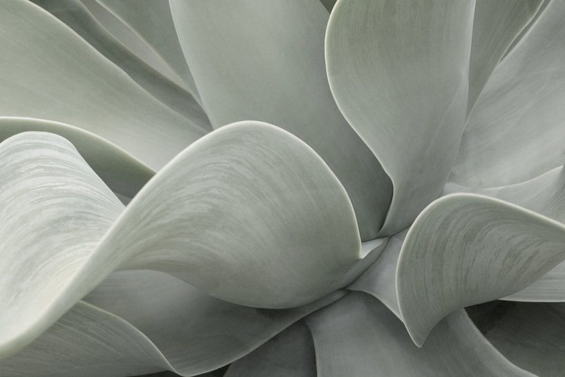 Vagues (2) par Carla Mesken-Dijkhoff