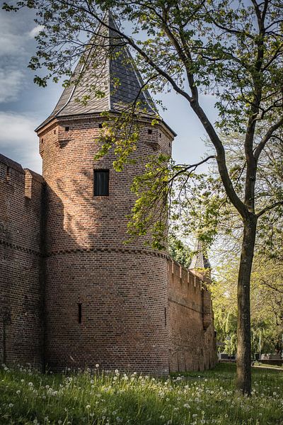 citywall Amersfoort by Freddy Hoevers