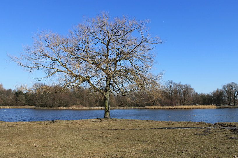 eenzaam zoom by Sedat Bice