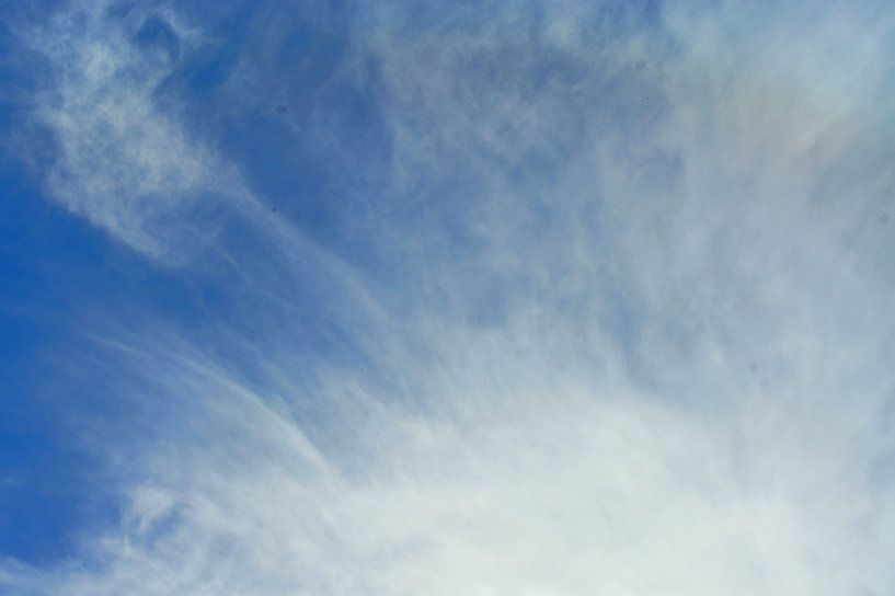 Schleier von Niek Traas