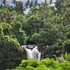 Jungle verte avec chute d'eau à Bali sur Anouschka Hendriks