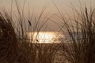 Zonsondergang op een zomerse dag aan het strand.. van Miranda van Hulst thumbnail