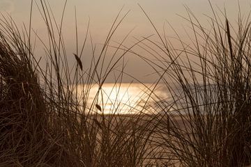 Zonsondergang op een zomerse dag aan het strand.. van Miranda van Hulst
