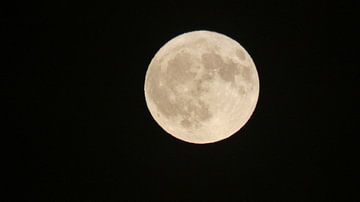 Een prachtige foto van de maan van Veluws