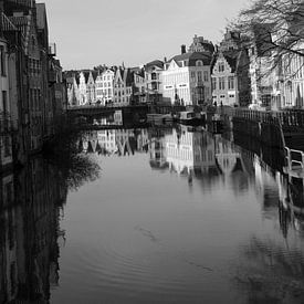 Reflectie in het water van Gent van Carole Clément