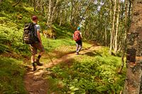Frau und Mann wandern durch den Wald in Norwegen