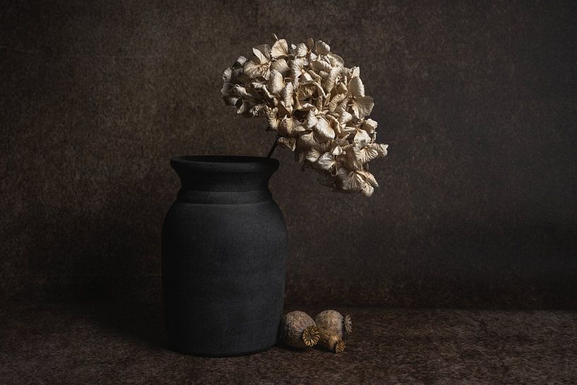 Still life with a dried hydrangea in a vase by John van de Gazelle fotografie