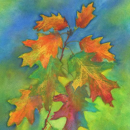 Feuilles de chêne