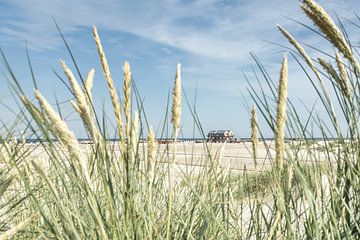 ST PETER-ORDING - STRAND HAVER NO. XIV van Martin Kunze