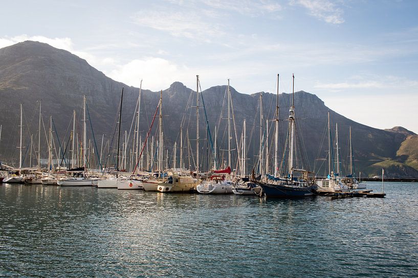 Jachthaven bij Kaapstad, Zuid-Afrika van Marcel Alsemgeest