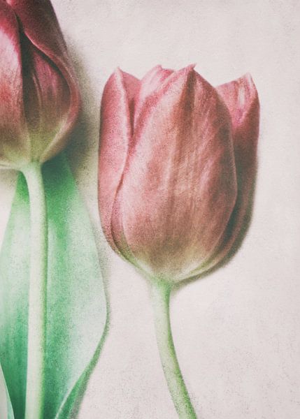 The Spring Lovers by Delphine Devos