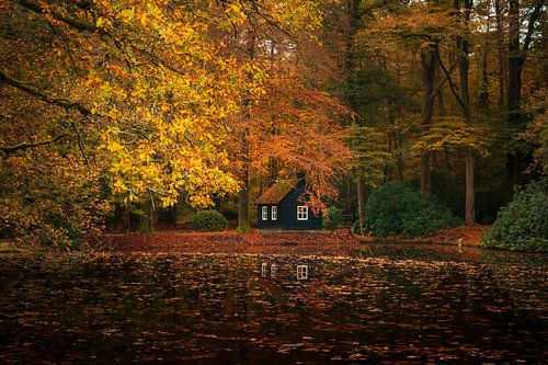 Herfstkleuren bij de vijver van Paleispark Het Loo