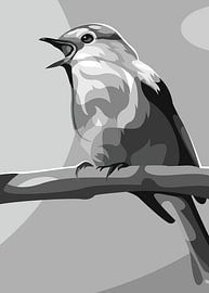 Gray Beautifull Bird Popart