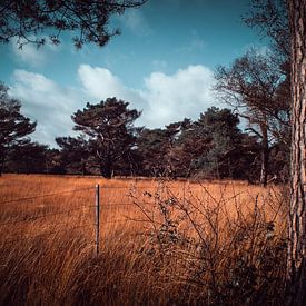 Landschaft von b.dutch