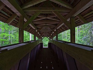 Covered bridge in the Wutach gorge by Timon Schneider