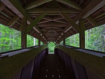 Pont couvert dans les gorges de Wutach sur Timon Schneider