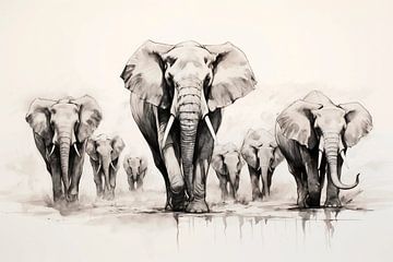 Troupeau d'éléphants sur vanMuis