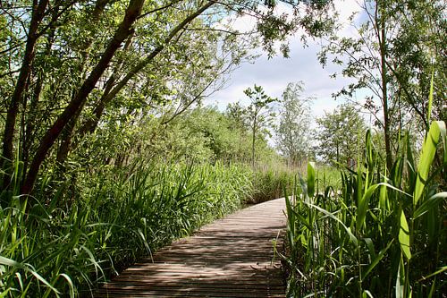 Passage Zuidpolder Barendrecht