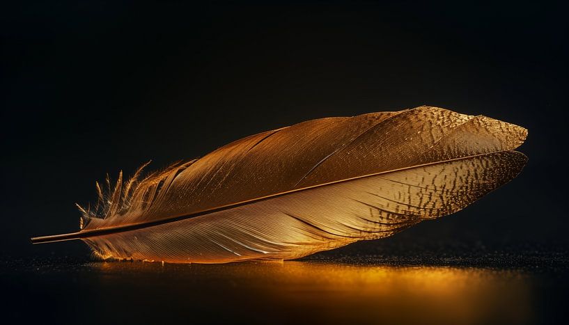 Panorama des plumes d'or tombées au sol par TheXclusive Art