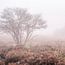 Landscape photography