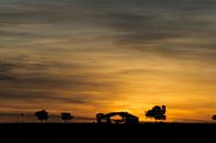Zonsondergang outback Australië van Arne Hendriks thumbnail