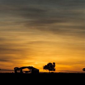 Sonnenuntergang im australischen Outback von Arne Hendriks