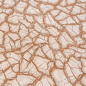 Gebarsten Kleigrond in de Zon - Namibie - Fragmenten van een Vergeten Bodem van Christiaan de Groot