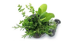 fresh mediterranean herbs, oregano, rosemary and sage in a mortar with pestle made of black granite  by Maren Winter