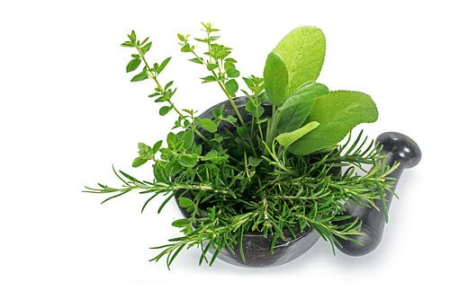 verse mediterrane kruiden, oregano, rozemarijn en salie in een vijzel met stamper van zwart graniet 