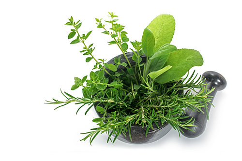 frische mediterrane Kräuter, Oregano, Rosmarin und Salbei im Mörser mit Stößel aus schwarzem Granit,