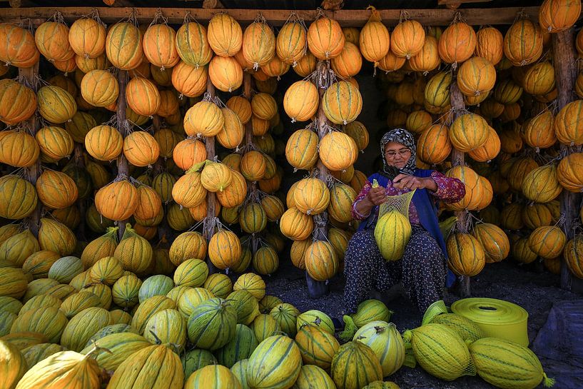 melons by Ummu Nisan Kandilcioglu