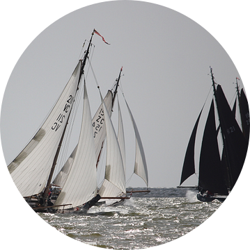 Black and white Lemsteraken