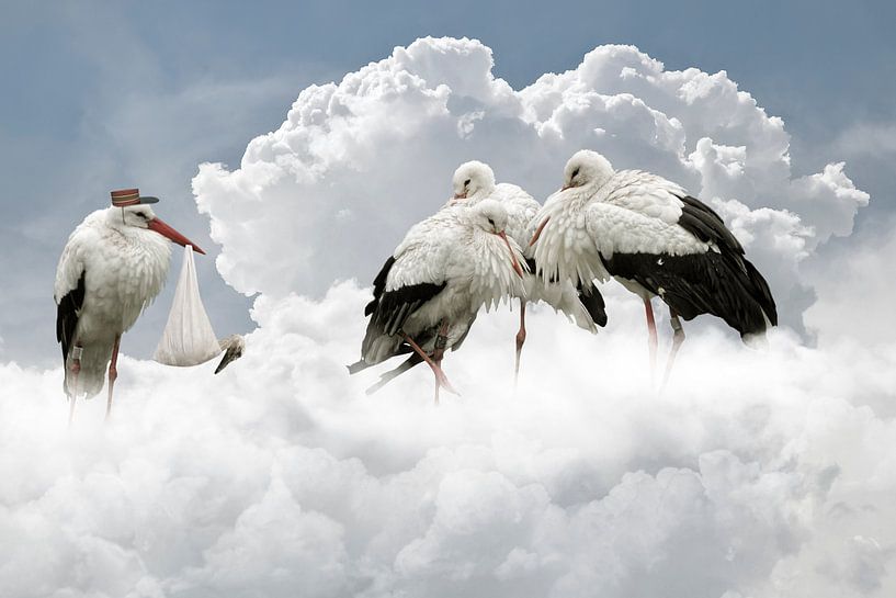 Storks by Jeannette Penris