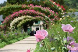Der Garten von Monet von Ingrid de Vos - Boom