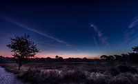 Zonsopgang in de heide von Bjorn Dockx Miniaturansicht