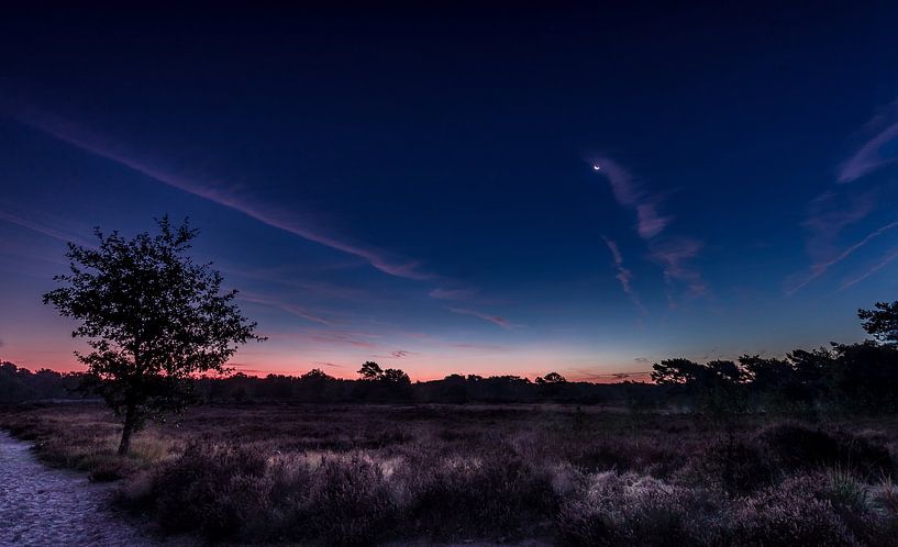 Zonsopgang in de heide von Bjorn Dockx