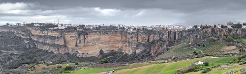 Spring in Ronda