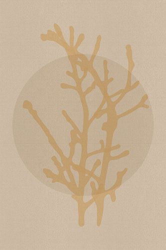 Japandi botanische tekening in zacht geel, zand en beige