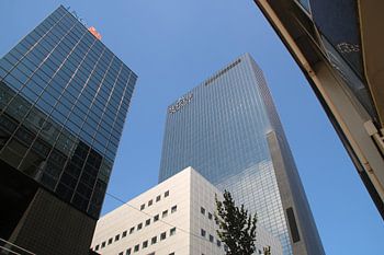 Moderne Architektur in Rotterdam