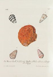 Verlustiging der oogen en van den geest, 1770-Collectie Teylers Museum