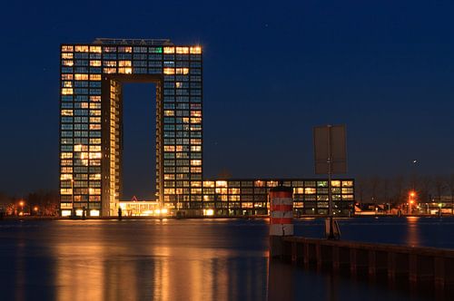 Tasman tower at night