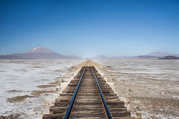 Bolivia - Train tracks on the plateau by Francisca Snel