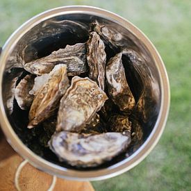 Oesters van Sabine Gaastra