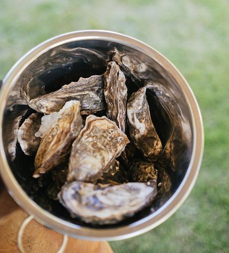 Huîtres