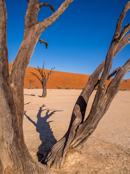 Natuurfoto Namib woestijn van Omega Fotografie