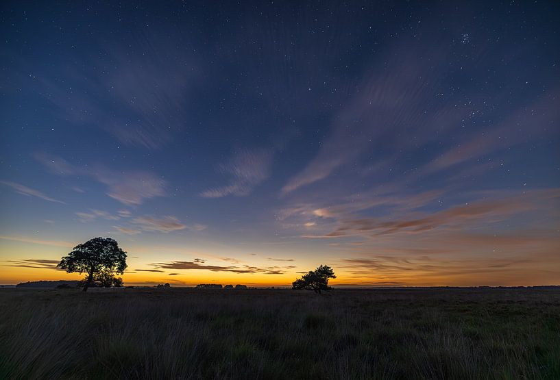 Stars Dwingelderveld (Netherlands) by Marcel Kerdijk