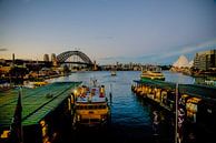 Sydney Harbour by Kaj Hendriks thumbnail