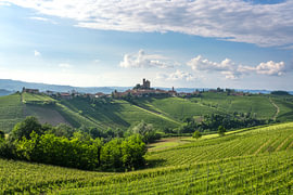 Serralunga d’': het dorp Alba en de wijngaarden, Langhe, Piemonte, Italië van Stefano Orazzini
