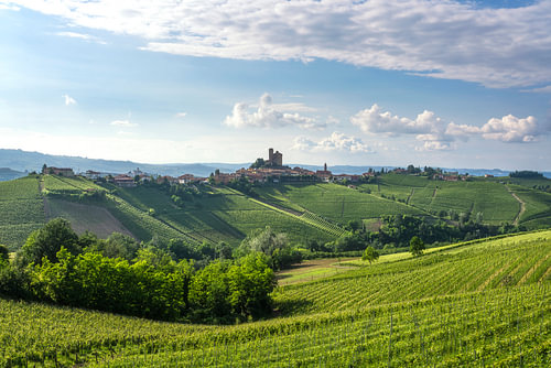 Serralunga d’': het dorp Alba en de wijngaarden, Langhe, Piemonte, Italië
